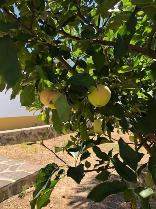 Вилла Casa Do Forno Evora Retreat Редонду Экстерьер фото
