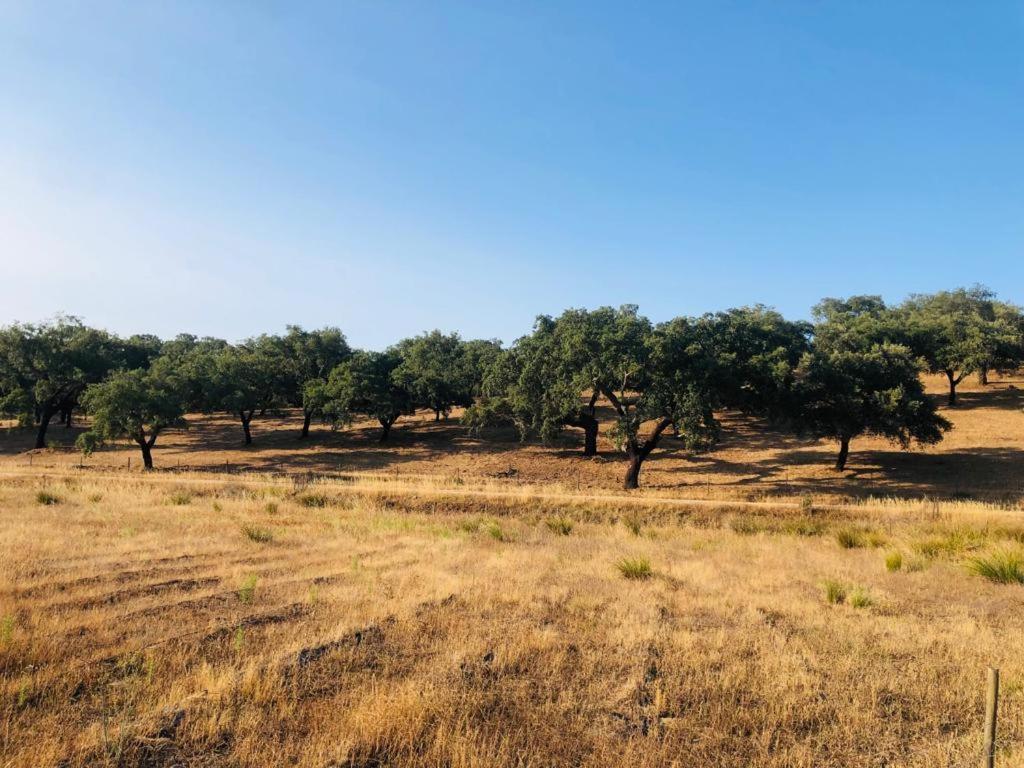 Вилла Casa Do Forno Evora Retreat Редонду Экстерьер фото