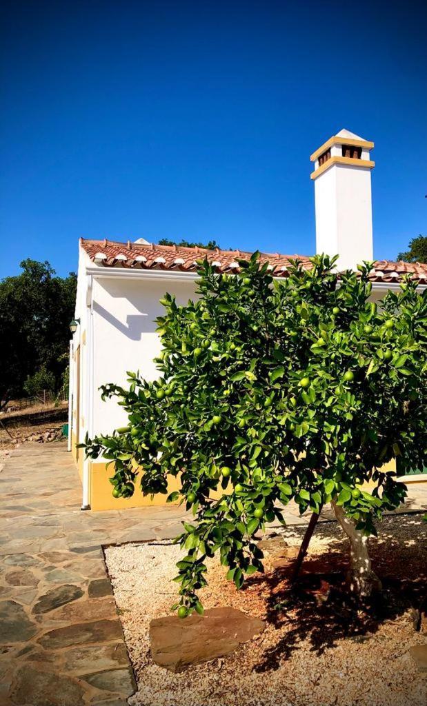 Вилла Casa Do Forno Evora Retreat Редонду Экстерьер фото